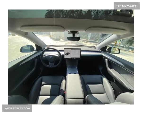 Model Y 屏幕换挡，后排有8英寸屏，还有第二排座椅电动调节！